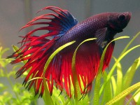 /album/zverinec-vi-d/a001300-002053-jpg/